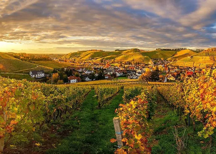 Alm-atelier Apartment Durbach